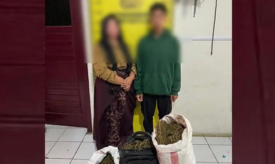 Ibu dan Anak di Gayo Lues Ditangkap Saat Edarkan 16,5 Kg Ganja