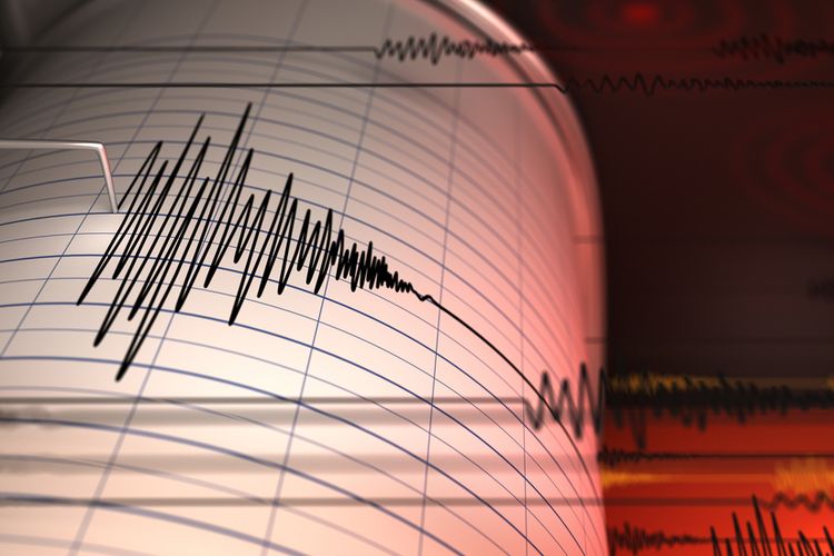 Gempa M 4,9 Guncang Meulaboh Aceh Barat, Warga Rasakan Getaran Cukup Kuat
